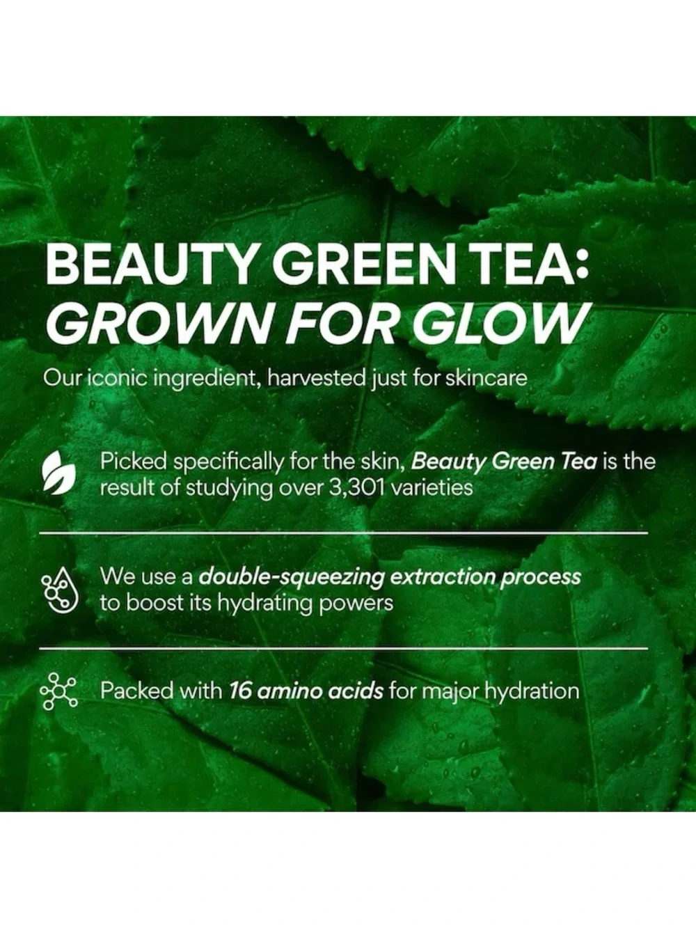 3/$12 Innisfree Green Tea Seed Hyaluronic Serum 1.01oz
